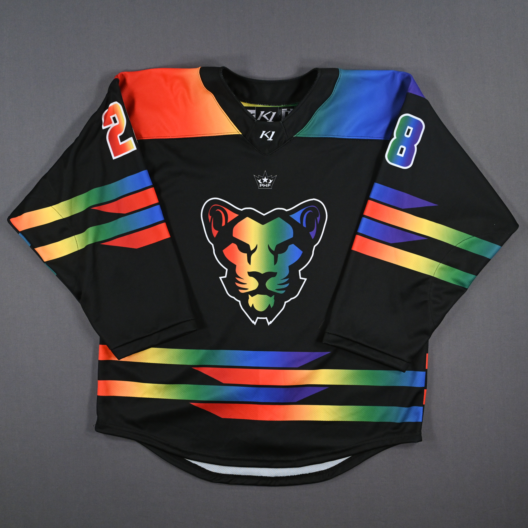 Lot Detail - No Name On Back (NNOB) - Game-Issued Pride Jersey
